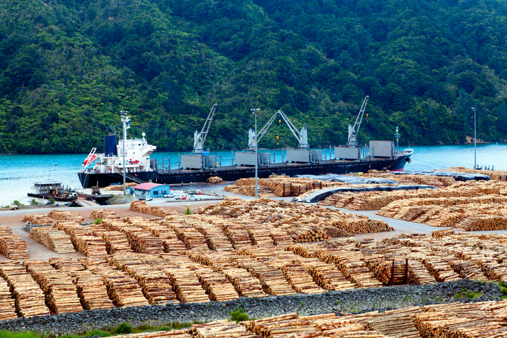 Timber Export Dock